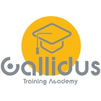 Callidus Training Academy logo - Similar company to Angewandte Positive Psychologie Schweiz
