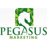 Pegasus Marketing PVT Ltd logo - Similar company to Amin Tai Builders & Developers