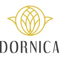 Dornica Institute logo - Similar company to Crompton Technology