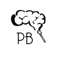 Painted Brain logo - Similar company to Venture Academies