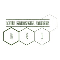 Bathusi Environmental Consulting logo - Similar company to Raptic Group