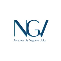 NGV Asesores de Seguros Ltda. logo - Similar company to Proyéctate Seguros