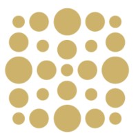 Casus Consulting logo - Similar company to Plsur