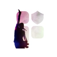 FanShield logo - Similar company to Protecht