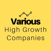 Various High Growth Tech Companies logo - Similar company to Sekindo