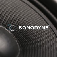 Sonodyne logo - Similar company to Ipesp Development Solution