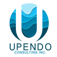 UPENDO Consulting Inc. logo - Similar company to Networks