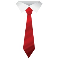 Public Speaking Business - Metodo 4S