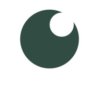 VALORESS Strategieberatung logo - Similar company to Evnxt