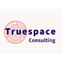 Truespace Consulting logo - Similar company to Maestro Consulting Services, Llc