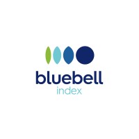 Bluebell Index logo - Similar company to Destaktech