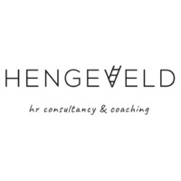 Hengeveld Consultancy logo - Similar company to Studio Berijk