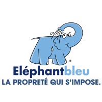 Eléphant Bleu logo - Similar company to Flowey
