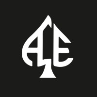 ACE • Business Management Consultancy logo - Similar company to Oraib Business Consulting