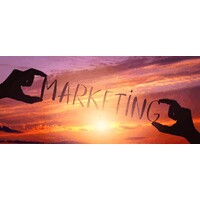 Sunshine Data Chronicles logo - Similar company to Reach Revolution