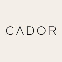 Cador Property Development Corporation logo - Similar company to Smartz Inc