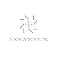 J.P. MOLYNEUX STUDIO, LTD. logo - Similar company to Idea Architecture & Construction
