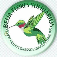 Projeto Beija Flores Solidarios logo - Similar company to Ntm Solutions Brasil