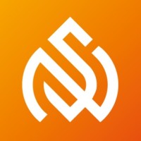 Spark Novus logo - Similar company to Copient.Ai