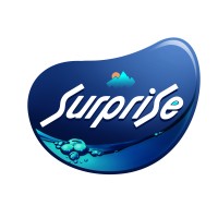 Surprise Waters logo - Similar company to Harmony Hr