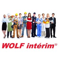 WOLF INTERIM logo - Similar company to Geny Interim