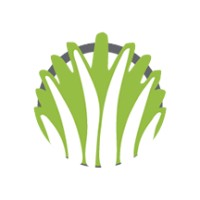 Bentgrass
