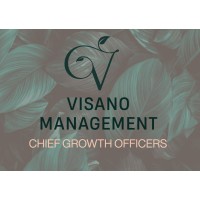 Visano Management logo - Similar company to The Events Ppl