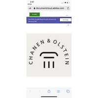 Chanen & Olstein logo - Similar company to Gulkoschwed Llp