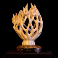 Burning Bush Initiatives, Llc