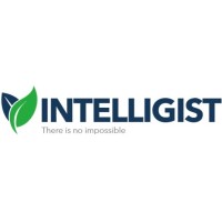 INTELLIGIST logo - Similar company to Intelligist Group