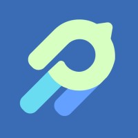 Birdie logo - Similar company to Camtom