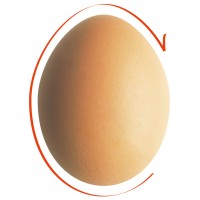 Conseil National de l'Emballage logo - Similar company to All4Pack Emballage Paris