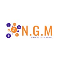 NGM Services et solutions logo - Similar company to Sea