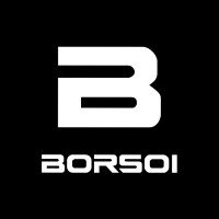 Borsoi srl logo - Similar company to Gmi Srl