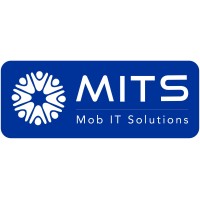 MITS LLC logo - Similar company to Gavis Solutions