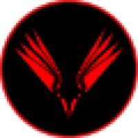 RedHawk IT Solutions logo - Similar company to Red Hawk Technologies, Llc