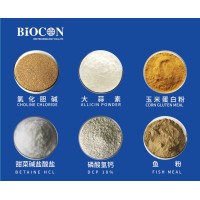 HEBEI BIOCON FEED ADDITIVES logo - Similar company to Auxitech Feed Additives