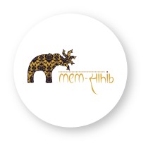 ByShachina logo - Similar company to Bull Media