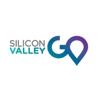 Silicon Valley Go Brasil logo - Similar company to D4 University