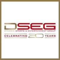 DSEG logo - Similar company to Fandelo
