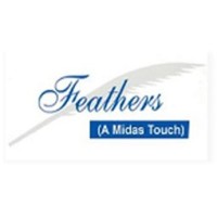 Feathers Management services Pvt Ltd logo - Similar company to Feathers Management Services Pvt. Ltd.
