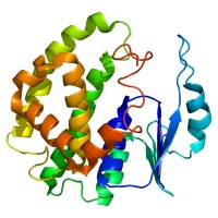 SPOC Proteomics logo - Similar company to Gencc Gmbh & Co. Kg
