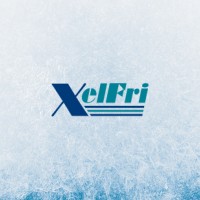 XelFri logo - Similar company to Nerxiagal Foncalgás
