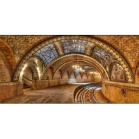 International Public Affairs