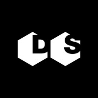 D&S logo - Similar company to Grupo Flux