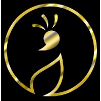 Chetati logo - Similar company to The Stone Studio