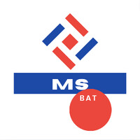 MS Bat logo - Similar company to Boldes Sarl