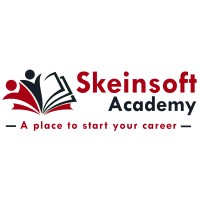 Skeinsoft Academy logo - Similar company to Rays It Technologies