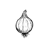 Clear Onion Media Corporation logo - Similar company to Making It Happen Productions