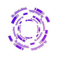 BrandVision logo - Similar company to Meta Ads Center